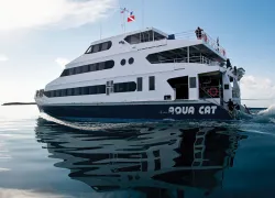 aqua-cat-cruises.jpg.webp