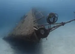 backscatter-tibbetts-video.jpg.webp