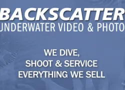 backscatter_logo.jpg.webp