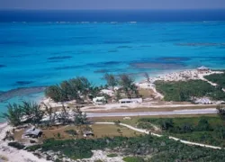 bahamastropical-_.jpg.webp