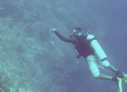 pompion wall scuba diving
