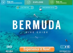 bermudadiveguide_x.jpg.webp