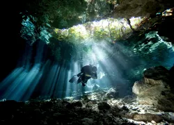 better_diver_float_like_a_butterfly.jpg.webp