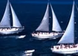 blackbeard-thumb.gif.webp