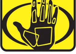 body-glove-logo.jpg.webp