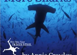 book_sharks_and_more_sharks_ebookimagessmall.jpg.webp