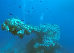 bow_gun_of_the_fujikawa_maru_wreck_truk_lagoon_micronesia.jpg.webp