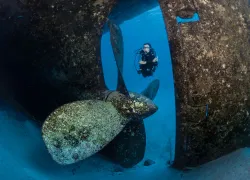 cayman-islands-ti.jpg.webp