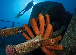 caymanways_article_main.jpg.webp