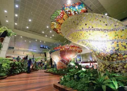 changi_qin-qingxinhua-presscorbis.jpg.webp