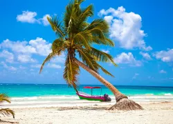 costamaya_istock__full-opt.jpg.webp