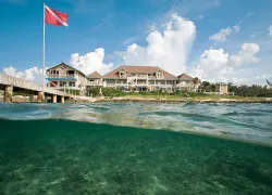courtesy-everett-turnercobalt-coast-dive-resort.jpg.webp