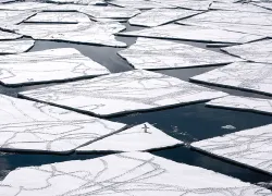 courtesyjohnwellerantarticoceanalliance.jpg.webp
