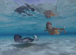 cuylaerts-sandbar_.jpg.webp