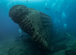 dive oahu_.jpg.webp