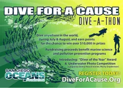 dive-a-thon.jpg.webp
