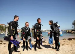 dive-clubs.jpg.webp