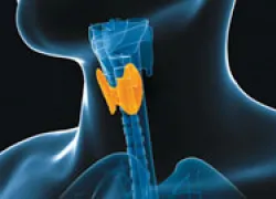 dive-doc-thyroid-problems-diving-thumb.jpg.webp