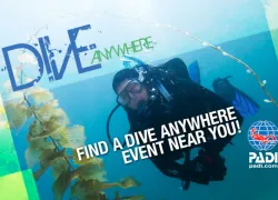 diveany_x.jpg.webp