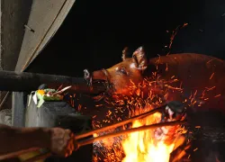 divefood_.jpg.webp