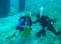 divefriends_.jpg.webp