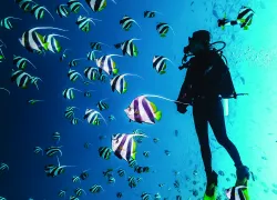 divelife_cvizl.maldives...-b.jpg.webp