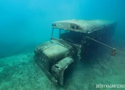 dutch-springs-quarry-bus.jpg.webp