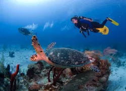 family-cayman.jpg.webp