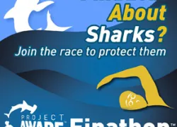 finathon_banner_logox.jpg.webp