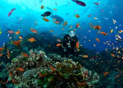fish-count_ty-sawyer.jpg.webp