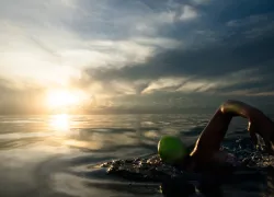 gene_giraudeau_master_divers_.jpg.webp