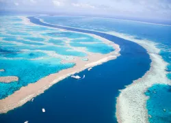 greatbarrierreef_istock.jpg.webp
