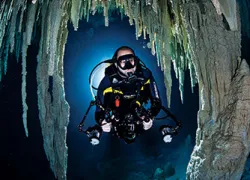 images_backlighting_cenote_wilk.jpg.webp