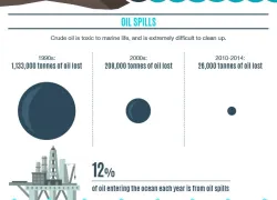 stats on ocean pollution