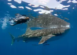 islamujeres_istock__full-opt.jpg.webp