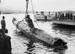 japanese-sub_.jpg.webp
