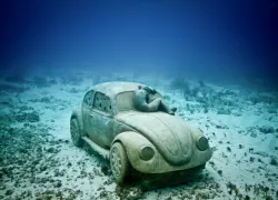 jason-vw-full.jpg.webp