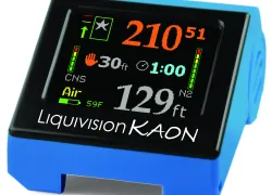 kaon_.jpg.webp