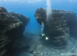 kauai-scuba-diving.jpg.webp