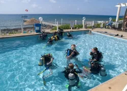 kids-sea-camp-pool-party.gif.webp
