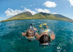 kids_maui.jpg.webp