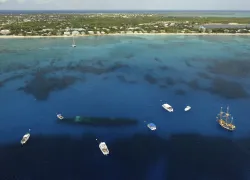 kittiwakeanniversaryaerials__-_courtney_platt.jpg.webp