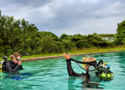 learn-dive-.jpg.webp