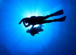 learn-dive-.jpg.webp