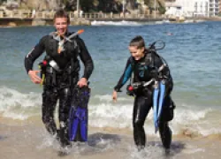 learning-to-dive-in-aust_thumb.jpg.webp
