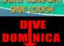 logo_.jpg.webp