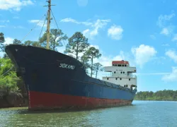 lulu_port-bow-view.gif.webp