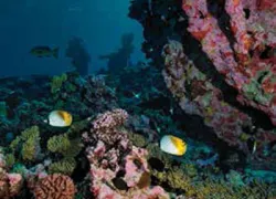 marinepark.jpg.webp