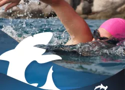 master_divers_-sponsor_gene.jpg.webp