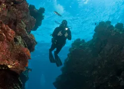 maui-getaways-open.jpg.webp